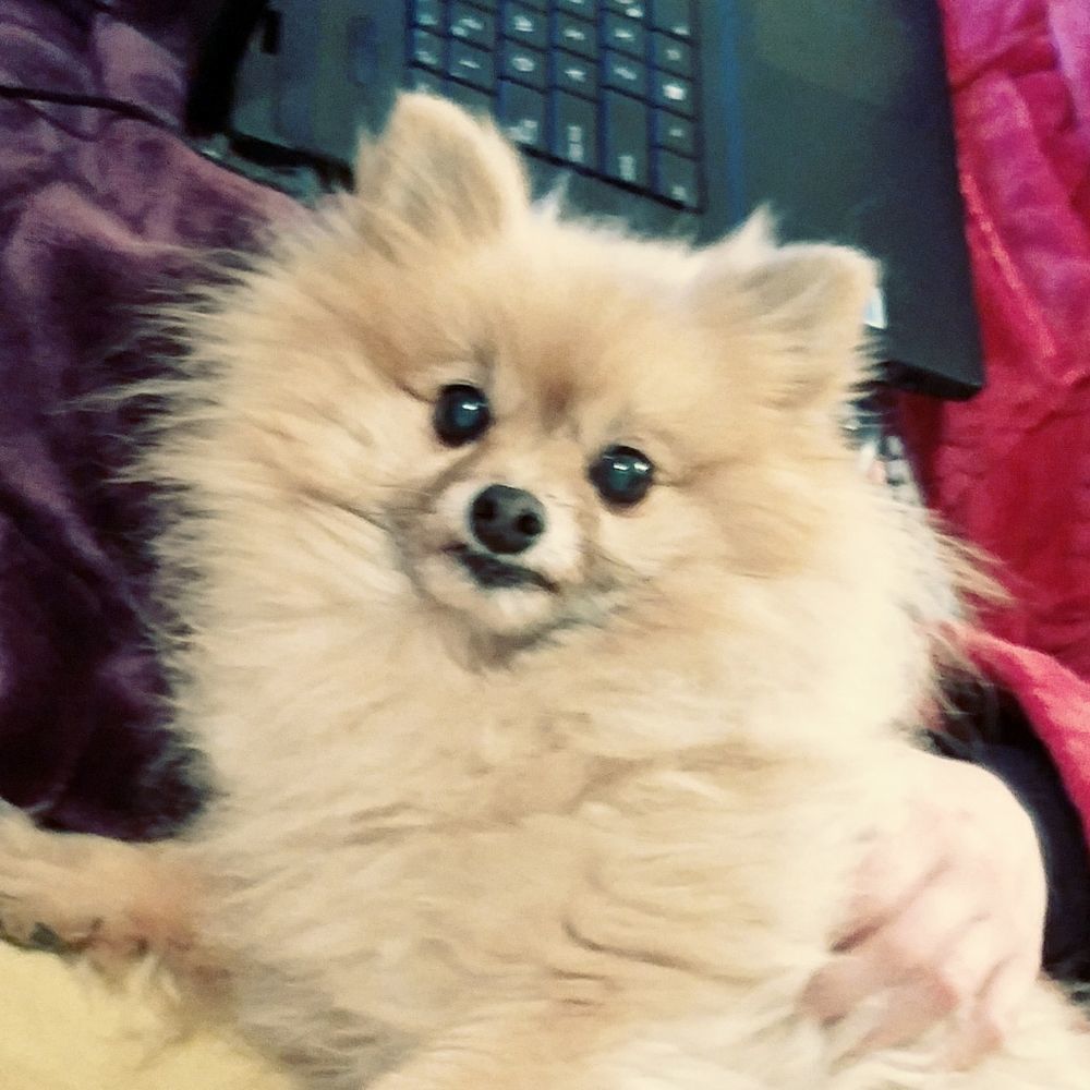 Meet your Posher, Cherie